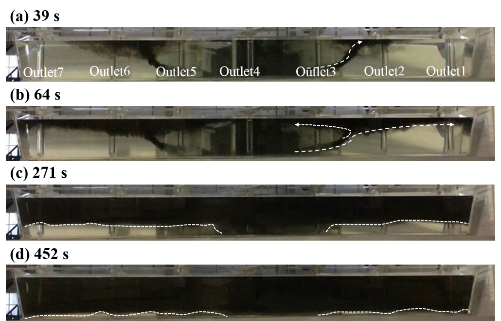 Trayectoria de dispersi&oacute;n de tinta en el caso P3