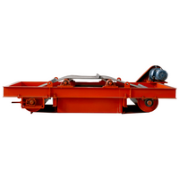 Serie RCDD (MC12) del separador de hierro electromagnético de descarga automática